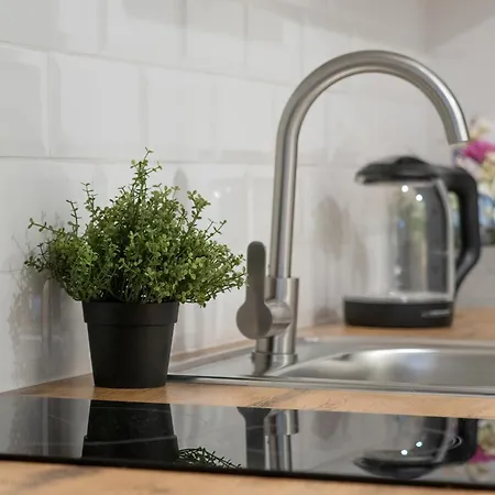 Elegant In The Centre Of By Renters Apartment